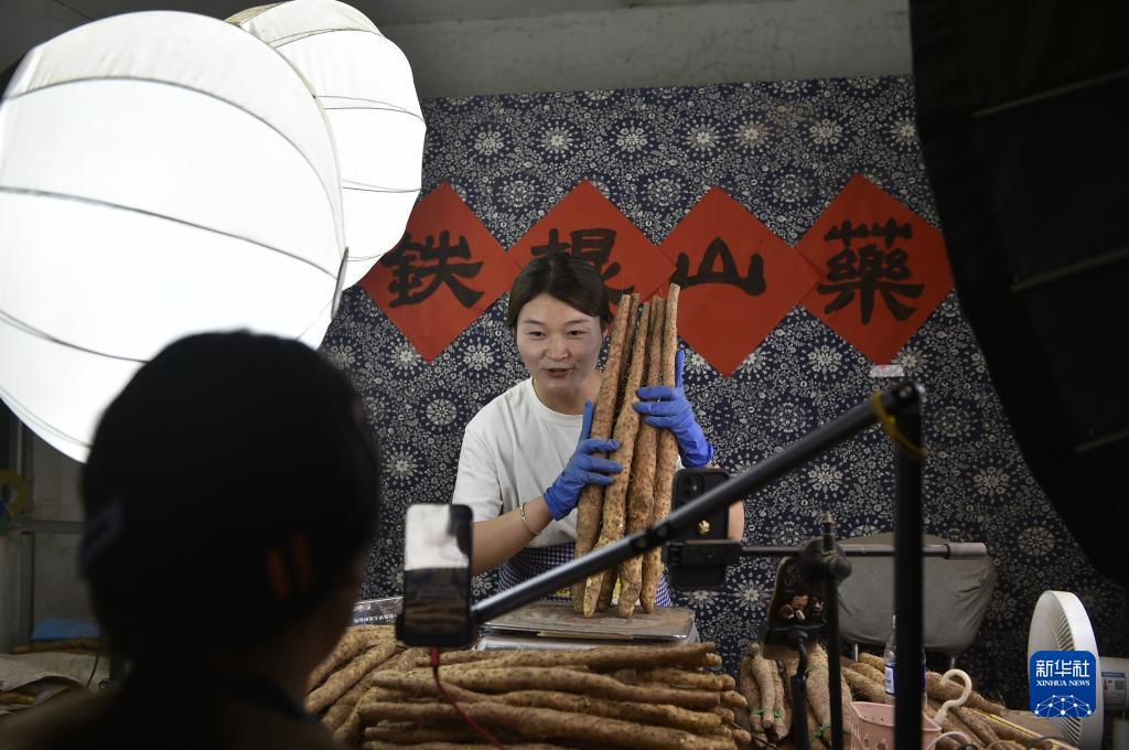 博狗公司注册